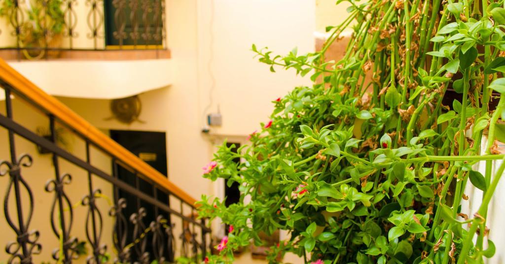 Old City Inn Hotel Baku Exterior foto
